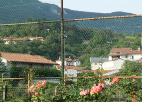 Vrhpolje village
