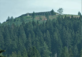 Fort Belvedere