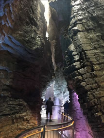 Inside the cleft