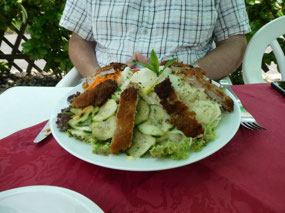 HUGE chicken salad