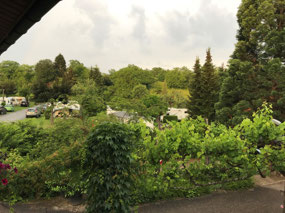 View from our pitch