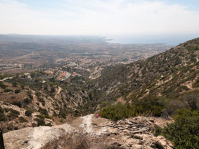Pikni Forest near St George