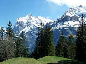 Snowy mountains
