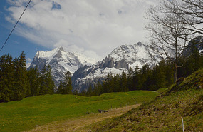 View from the train