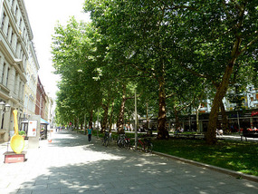 Hauptstrasse, Neustadt