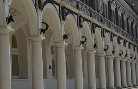 Hunting trophies in royal stables