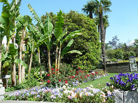 Flower beds