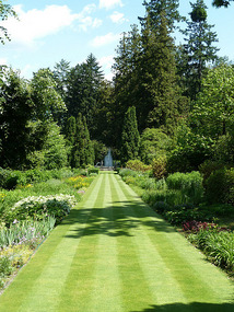 Perfect lawn