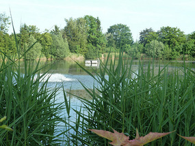 Lake at Lech Camping