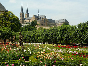 Rose garden