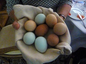 Rainbow eggs