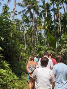 The Spice Plantation tour.