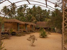 Fourth hut on the left.