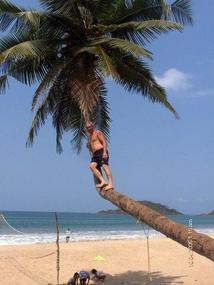 Standing on the most famous palm tree in Goa