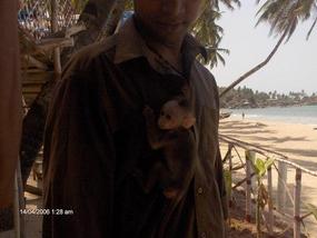 Would you like to touch my monkey?