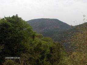 Hills, and more. .