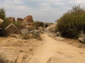 A surreal trail. .