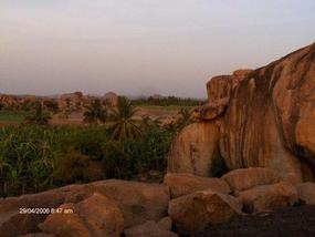 East view from Kiran's plantation