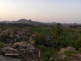 North view from Kiran's plantation..