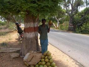 The coconut man