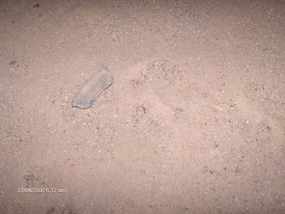 Ancient pottery shard. .