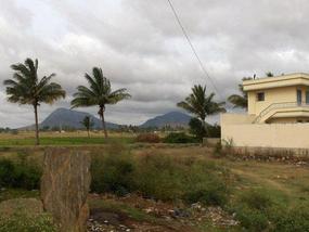 Nandi hills. .