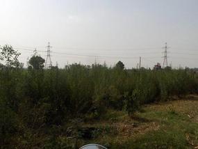 Roadside, Punjab