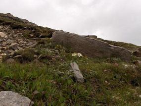 Mein Edelweiss. .