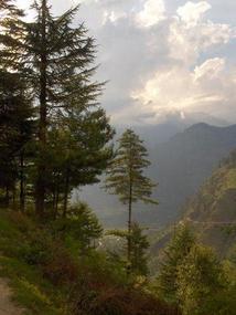 Another view.