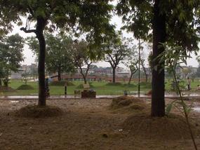 Building the park