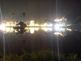 Festival Lights