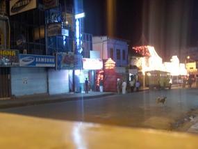 Kandy street, Lighted Elephant.
