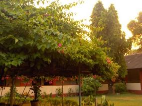 At the Plantation.