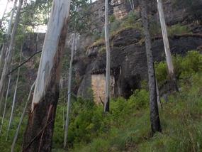Monkeys hanging out in a cleft.