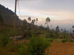 Leaving the village