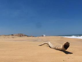 Surreal beach