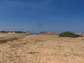 Hot sands.