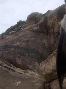The crocodile rock.