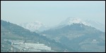 Snow, just north of Genoa