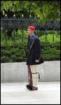Palace guard