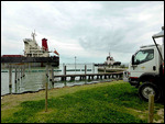 Local traffic at the camp ground
