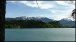 View of Bled lake from campground