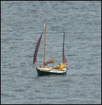 Local sailer