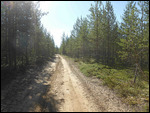 Great to be on sandy tracks!
