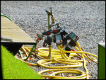 I must set up an automatic watering system!