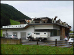 Cows on the roof!