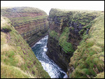 Nesting site near Duncansby Pillars