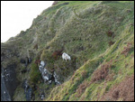 "Normal" grazing lands?