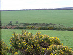 Bodmin Moor