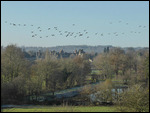 Penshurst in winter